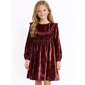 Zara little girls velvet Bib Collar Eyelet holiday dress NEW